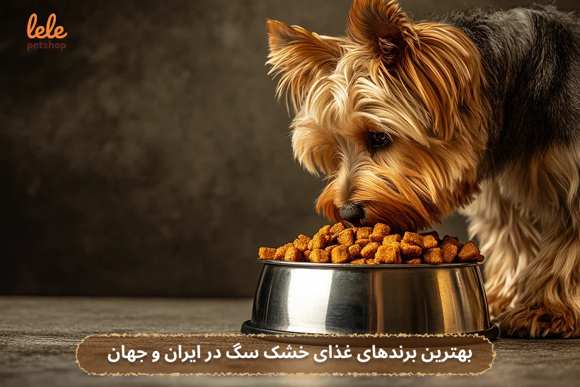 بهترین برندهای غذای خشک سگ در ایران و جهان
