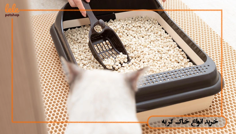خرید انواع خاک گربه