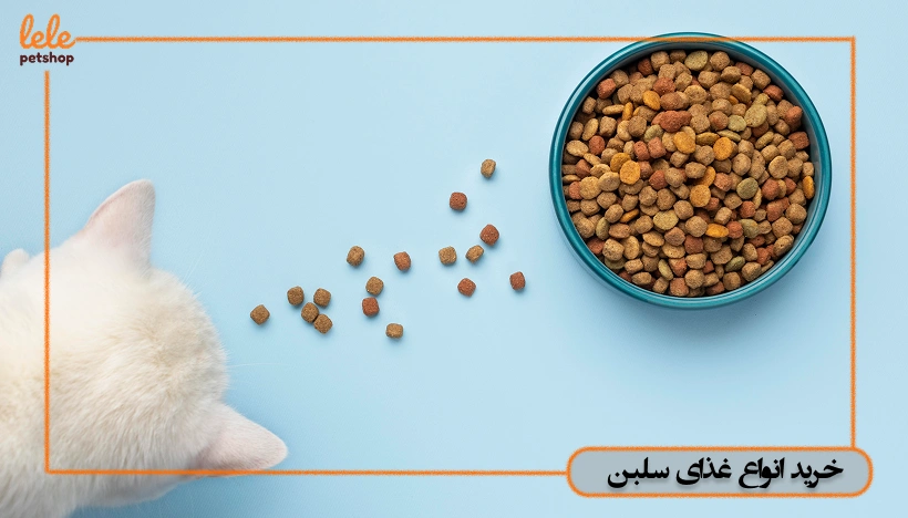 خرید انواع غذای سگ و گربه سلبن