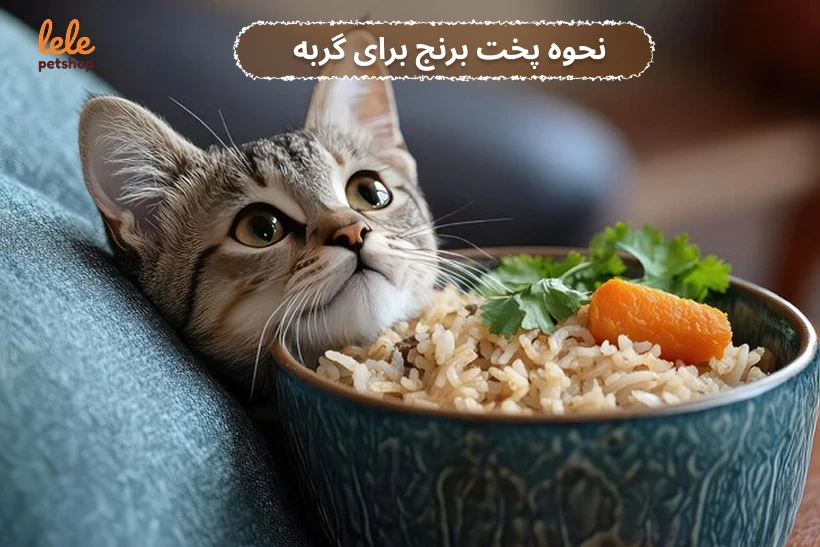 نحوه پخت برنج برای گربه