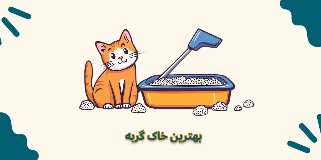 بهترین برند خاک گربه ایرانی و خارجی