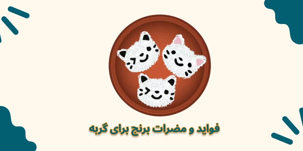 فواید و مضرات برنج برای گربه