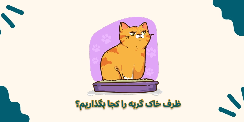 ظرف خاک گربه را کجا بگذاریم؟
