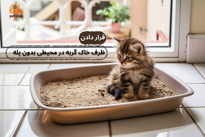 قرار دادن ظرف خاک گربه در محیطی بدون پله