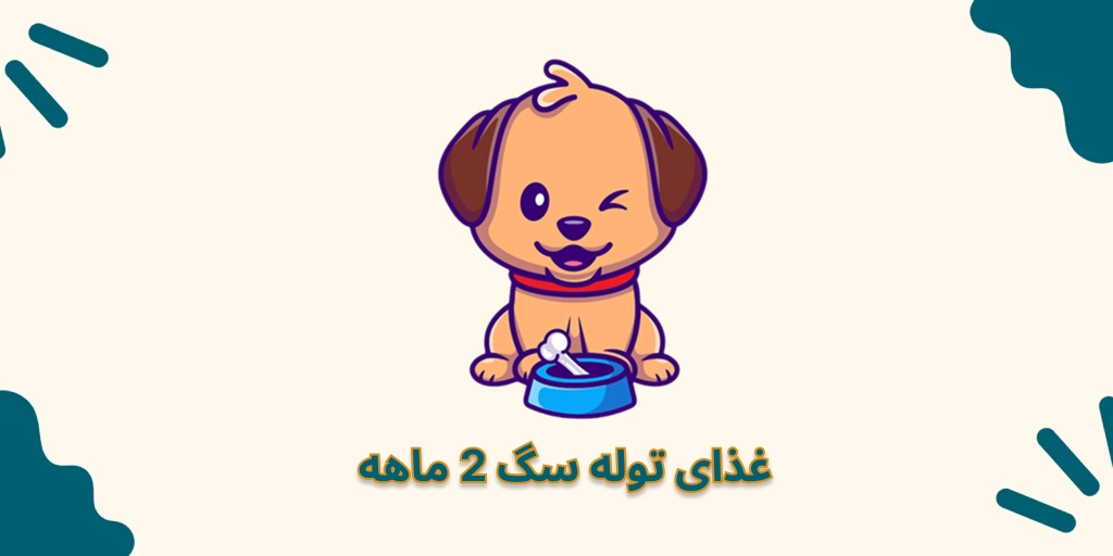 غذای توله سگ 2 ماهه