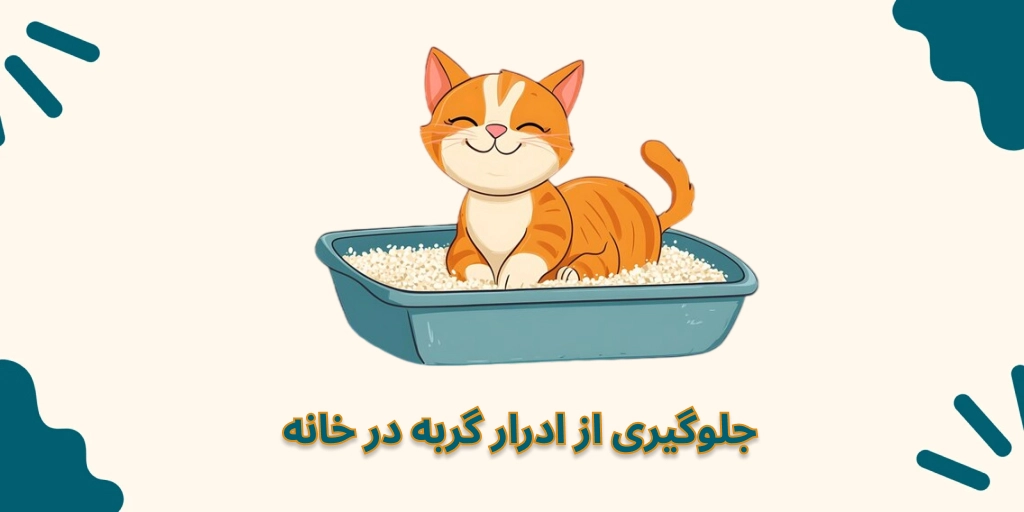 جلوگیری از ادرار گربه در خانه