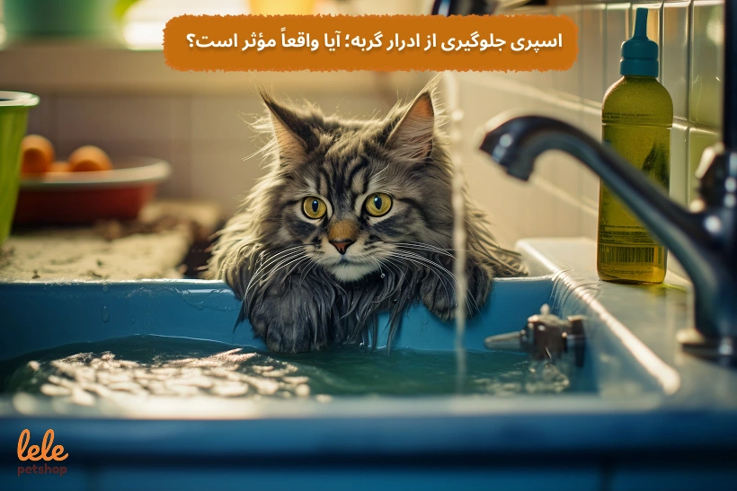 اسپری جلوگیری از ادرار گربه؛ آیا واقعاً مؤثر است؟