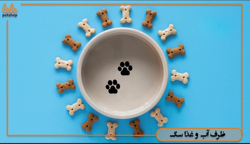 خرید ظرف آب و غذا سگ