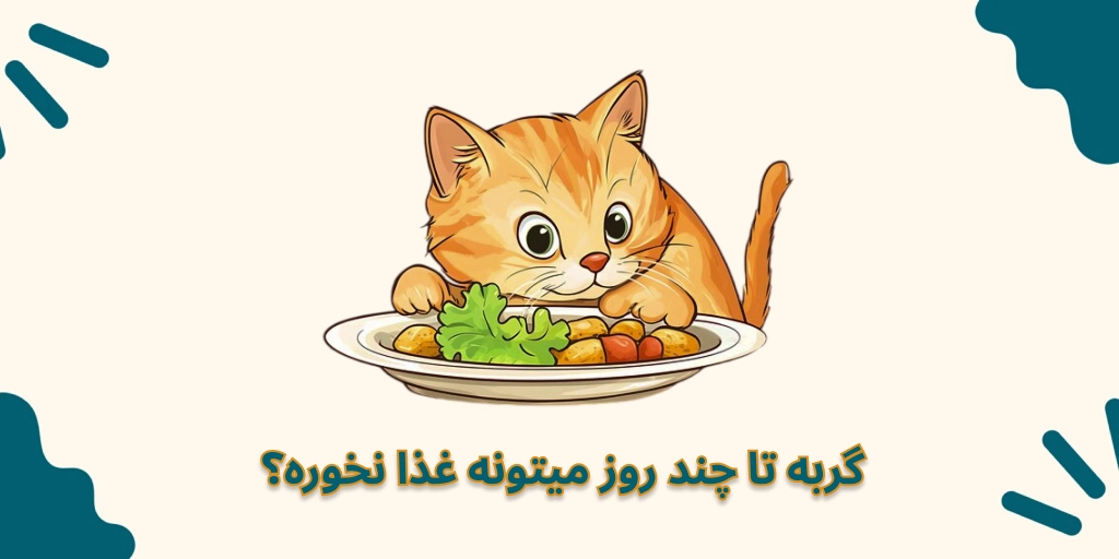 گربه بیمار تا چند روز می‌تونه غذا نخوره؟