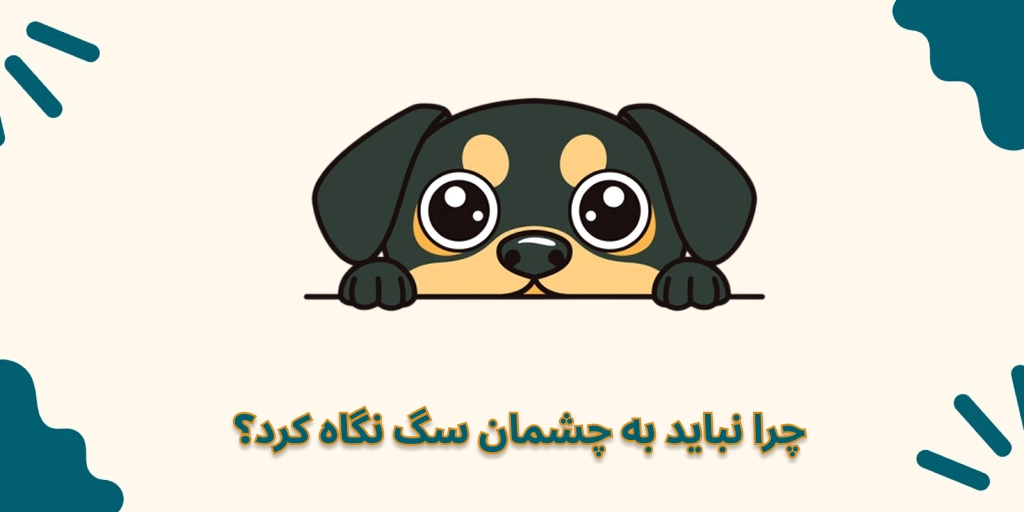 چرا نباید به چشمان سگ نگاه کرد؟